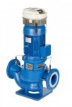 Lowara Inline-Pumpe  LNEEH 50-125/02/S45RCS4 